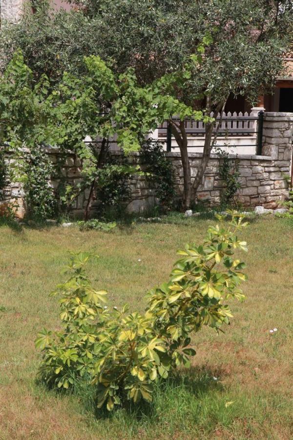 Damaskis Kassiopi Studios Exterior photo